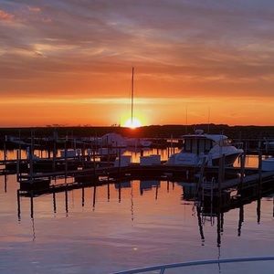 Meet your Posher, Calli